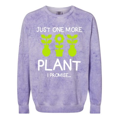 Just One More Plant I Promise Gardening Houseplant Lover Gift Colorblast Crewneck Sweatshirt