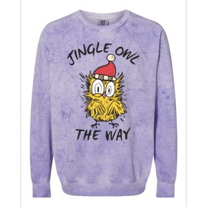 Jingle Owl The Way Funny Santa Owl Christmas Cool Gift Colorblast Crewneck Sweatshirt