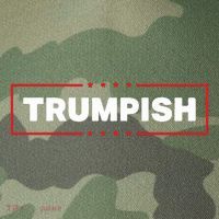 James Okeefe Trumpish Legacy Tie Dye Trucker Hat