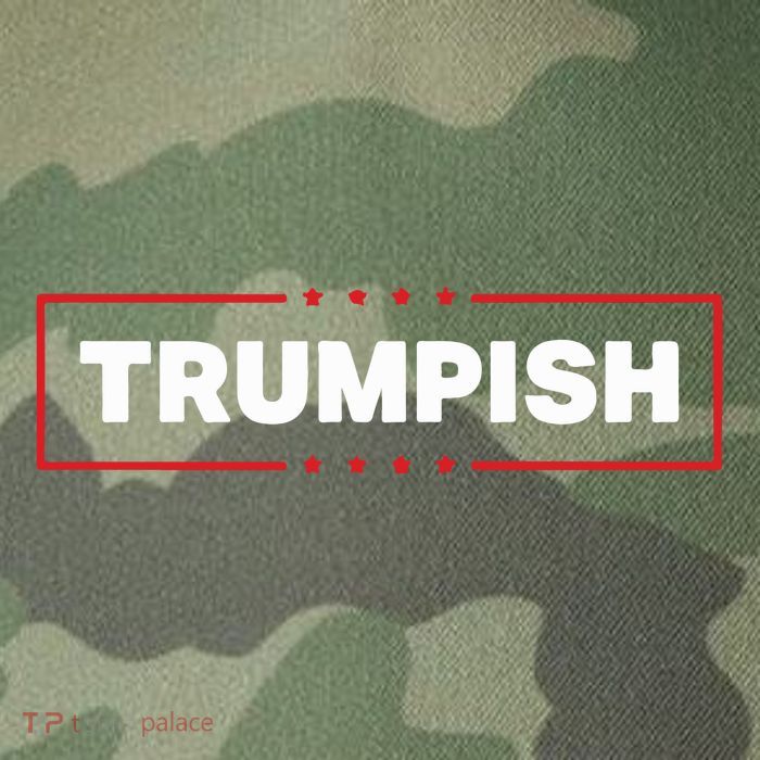 James Okeefe Trumpish Legacy Tie Dye Trucker Hat