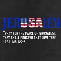 JERUSALEM Pray For the Peace Of Jerusalem US Israel Flag Cool Comfort Performance Bucket Hat