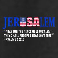 Jerusalem Pray For The Peace Of Jerusalem Us Israel Flag Adult Drive Performance Visor