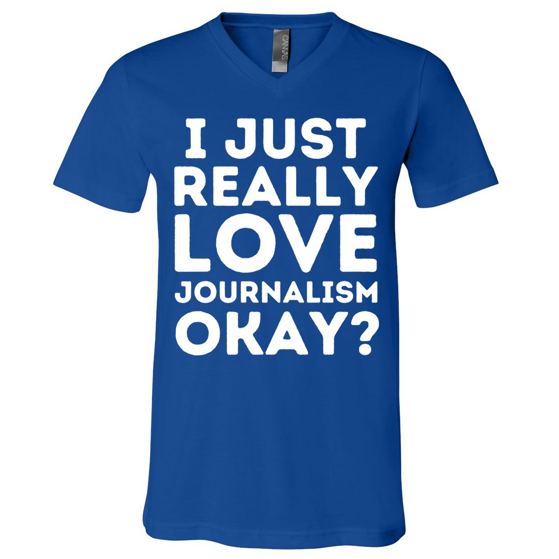 Journalism Professor Funny Journalism Student Journalist Gift V-Neck T-Shirt