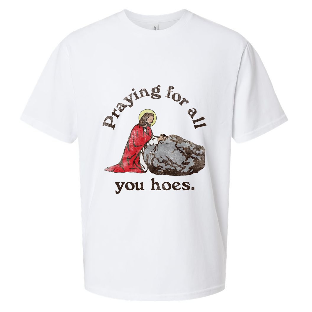 Jesus Praying For All You Hoes Humor Christian Sueded Cloud Jersey T-Shirt