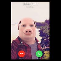John Pork Is Calling 16 in Basic Backpack
