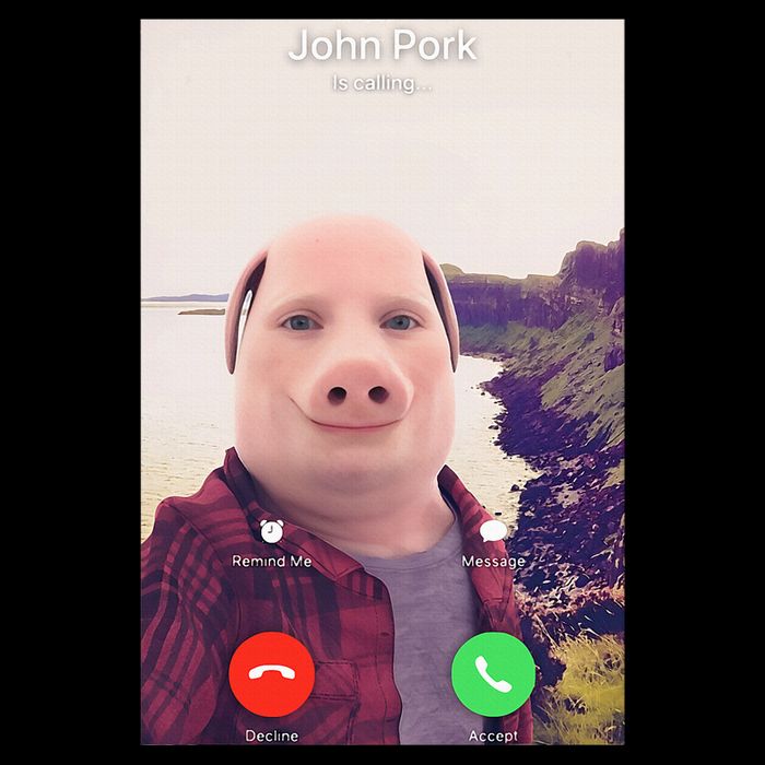 John Pork Is Calling 16 in Basic Backpack