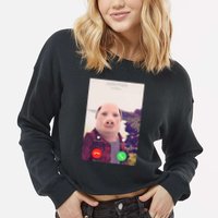 John Pork Is Calling Cropped Pullover Crew