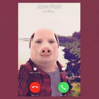 John Pork Is Calling 16oz Travel Tumbler