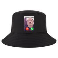 John Pork Is Calling Funny Answer Call Phone Cool Comfort Performance Bucket Hat