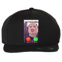 John Pork Is Calling Funny Answer Call Phone Wool Snapback Cap