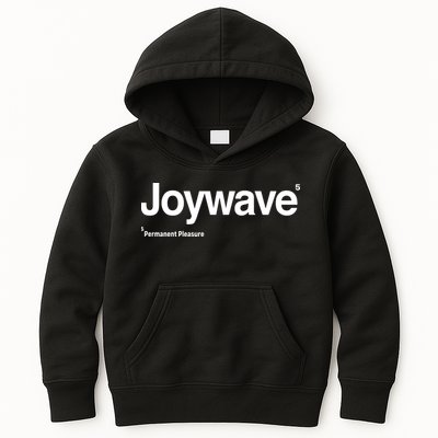 Joywave Permanent Pleasure 5 Kids Hoodie