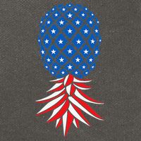 July Patriotic Red White Blue Upside Down Pineapple Swinger Cotton Canvas Backpack