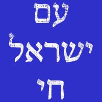 Jewish Pride Support Israel Hebrew Jerusalem Am Israel Chai Tall T-Shirt
