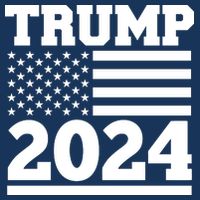 Jumbo Print Trump 2024 Usa Flag T-Shirt