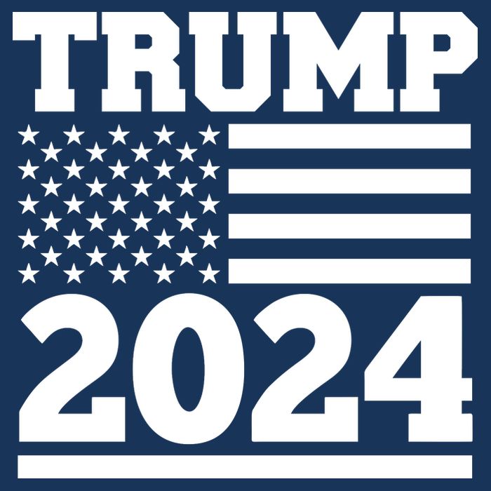 Jumbo Print Trump 2024 Usa Flag T-Shirt