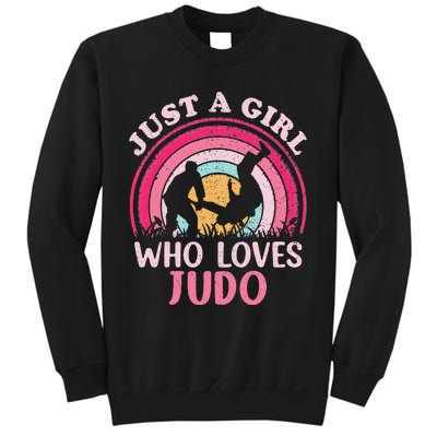 Judo Player Vintage Retro Just A Who Loves Judo Sweatshirt