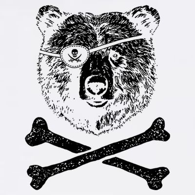 Jolly Roger Bear T-Shirt
