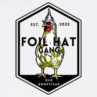 Jessica Rojas Foil Hat Gang Poster