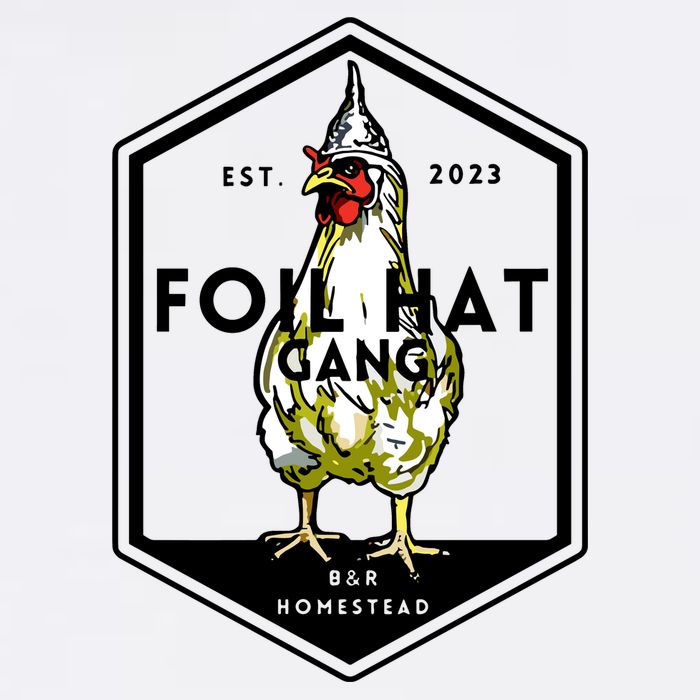 Jessica Rojas Foil Hat Gang Poster