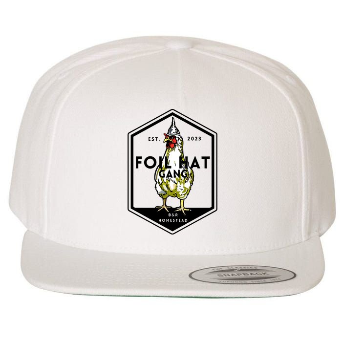 Jessica Rojas Foil Hat Gang Wool Snapback Cap