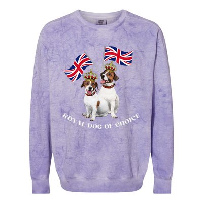 Jack Russell King Charles Coronation Party Celebration Funny Colorblast Crewneck Sweatshirt