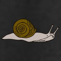 Just Really Like Snails Snail Lover Gift 15oz Campfire Ceramic Mug