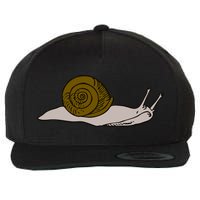 Just Really Like Snails Snail Lover Gift Wool Snapback Cap