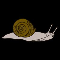 Just Really Like Snails Snail Lover Gift Wool Snapback Cap