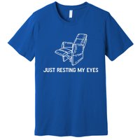 Just Resting My Eyes Great Gift Premium T-Shirt