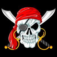 Jolly Roger Pirate Skull Impact Tech Backpack