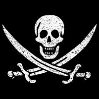 JOLLY ROGER PIRATE FLAG CALICO JACK HALLOWEEN COSTUME Womens Tank Top