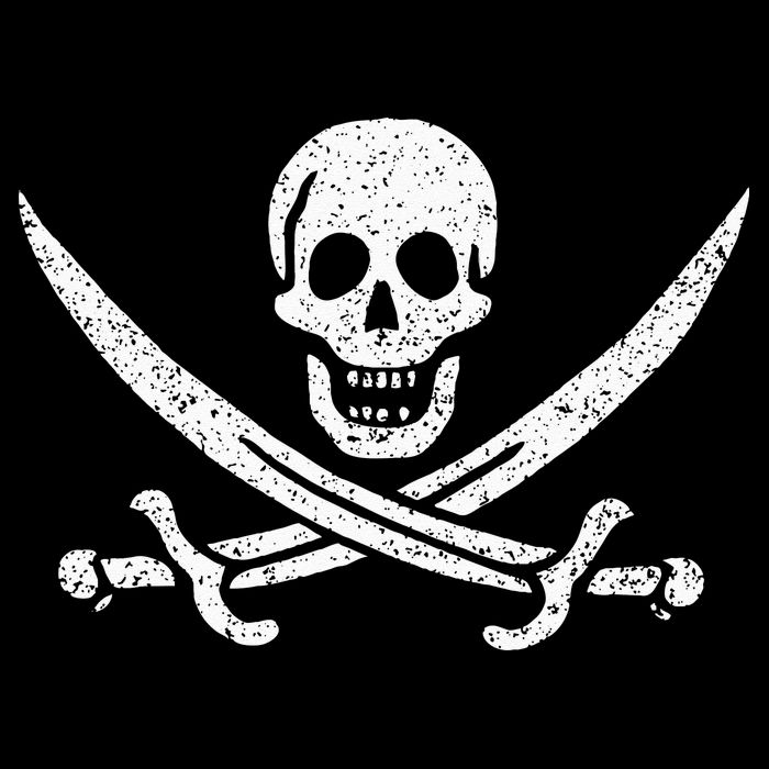 JOLLY ROGER PIRATE FLAG CALICO JACK HALLOWEEN COSTUME Womens Tank Top