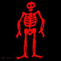 Jolly Roger Pirate Flag Edward Low Red Skeleton Pom Pom 12in Knit Beanie