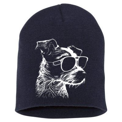 Jack Russell Terrier Walking Sunglasses Dogs Owner Short Acrylic Beanie