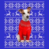 Jack Russell Terrier Ugly Sweater Christmas Meaningful Gift Funny Dog Gift 16 in Basic Backpack
