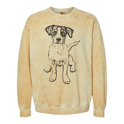 Jack Russell Terrier Gift For Dog Mom Dad Colorblast Crewneck Sweatshirt