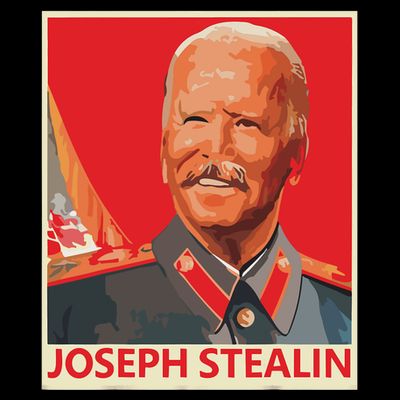 Joseph Stealin Anti Joe Biden Funny Shirts Anti Biden T-Shirt