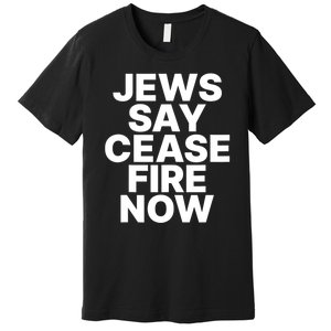 Jews Say Cease Fire Now Premium T-Shirt