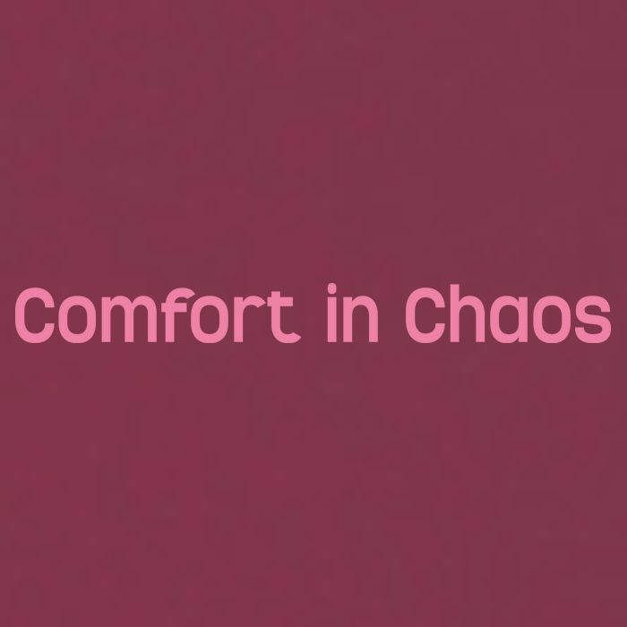 John Summit Comfort In Chaos 16oz Travel Tumbler