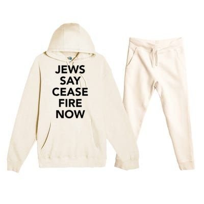 Jews Say Cease Fire Now  Premium Hooded Sweatsuit Set