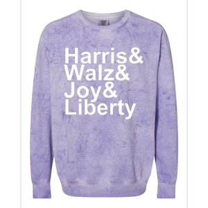 Jason Sudeikis Harris Walz Joy Liberty Colorblast Crewneck Sweatshirt