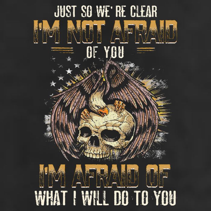 Just So We're Clear I'm Not Afraid Of You Premium Pullover Hoodie