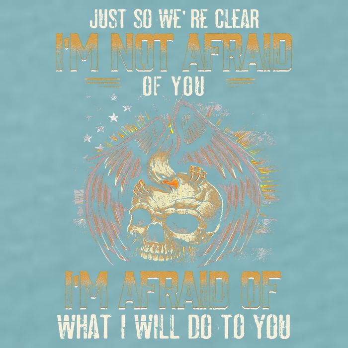 Just So We're Clear I'm Not Afraid Of You Sueded Cloud Jersey T-Shirt
