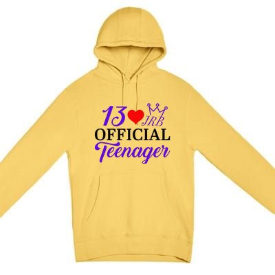 Jrb Turns 13 Premium Pullover Hoodie