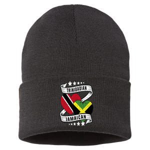 Jamaican Trinidad half Trinidad and half Jamaican flag Sustainable Knit Beanie