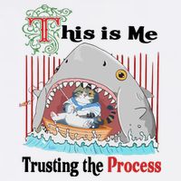 Jmcgg This Is Me Trusting The Process Shark Cat Flat Bill Trucker Hat