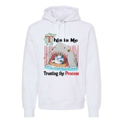 Jmcgg This Is Me Trusting The Process Shark Cat Premium Hoodie