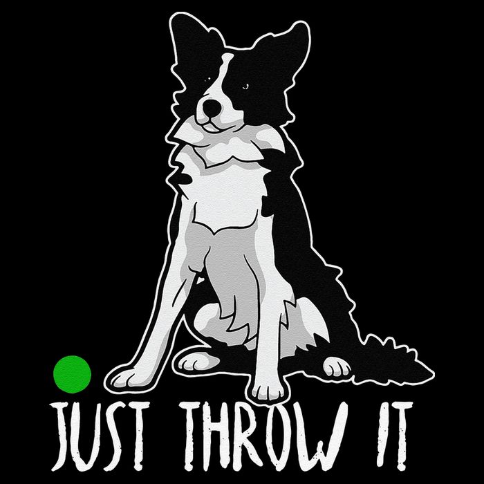 Just Throw It Funny Border Collie Dog Lover Flat Bill Trucker Hat