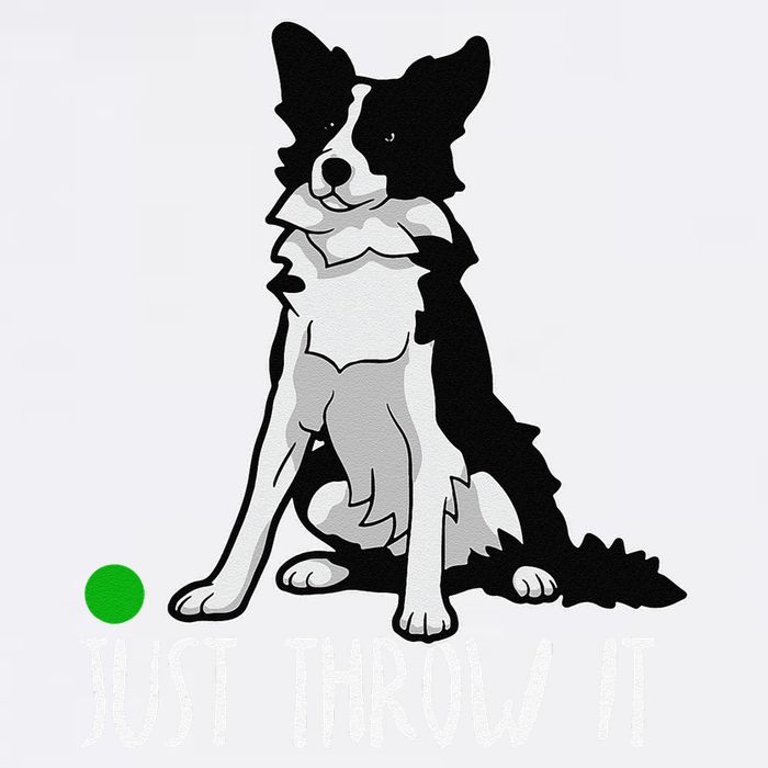 Just Throw It Funny Border Collie Dog Lover Garment-Dyed Sweatshirt
