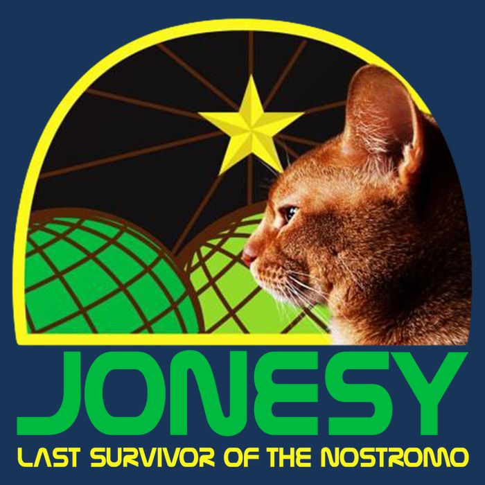 Jonesy The Last Surviving Member Funny 7-Panel Snapback Hat